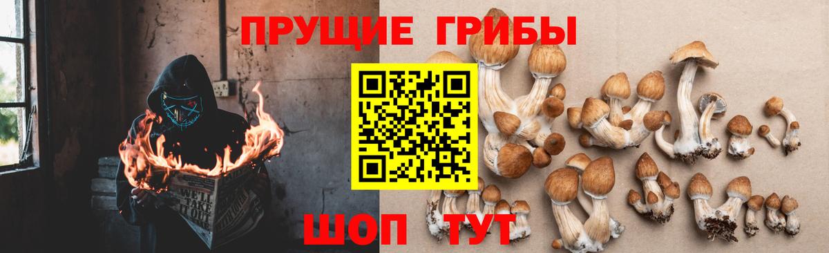 Можга  Галлюциногенные грибы GOLDEN TEACHER  Вход с VPN 